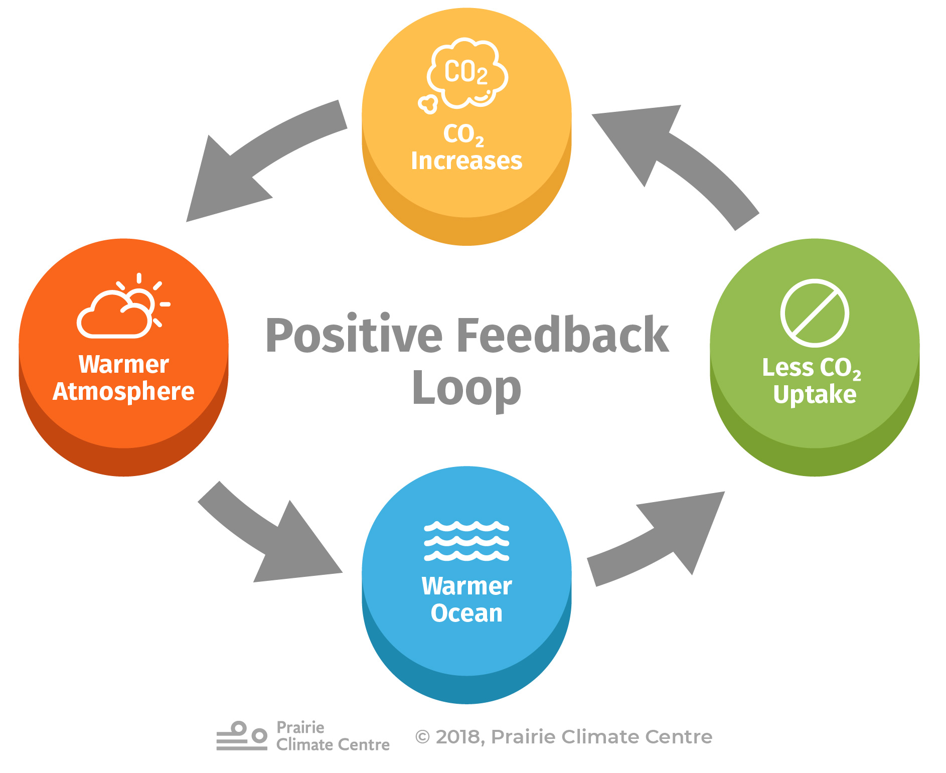 Positive Feedback Loop (Oceans)