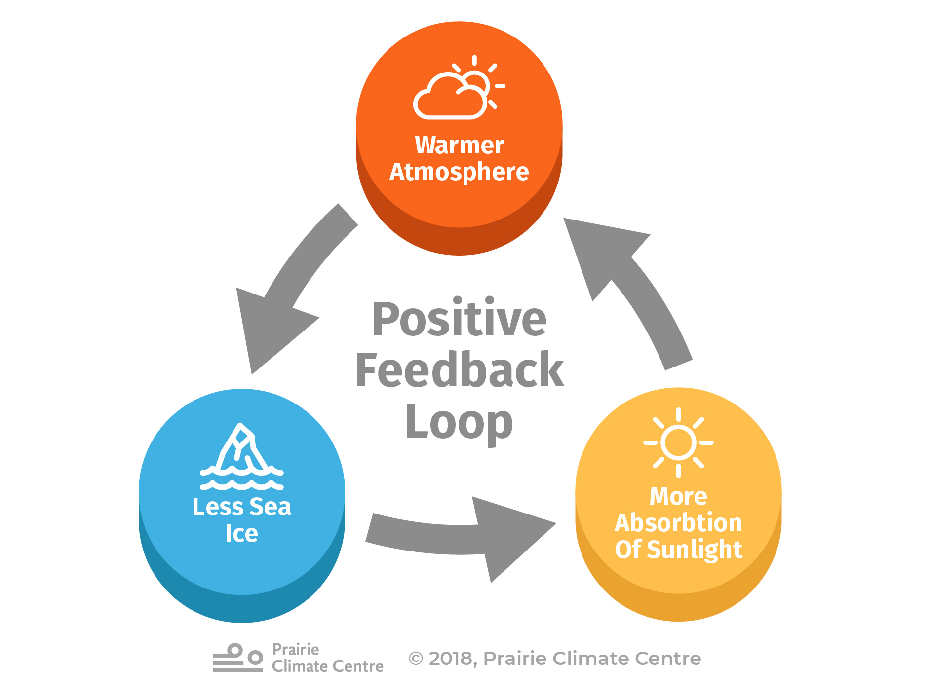 Positive Feedback Loop (Ice)