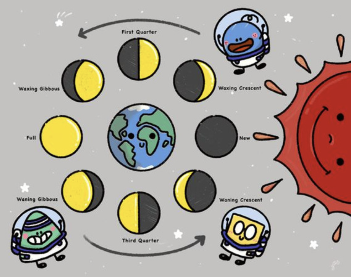 Get to Know the Night Sky