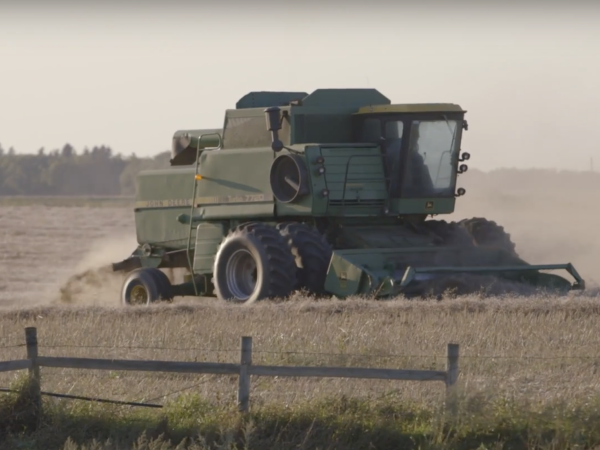 Biogas and Biochar