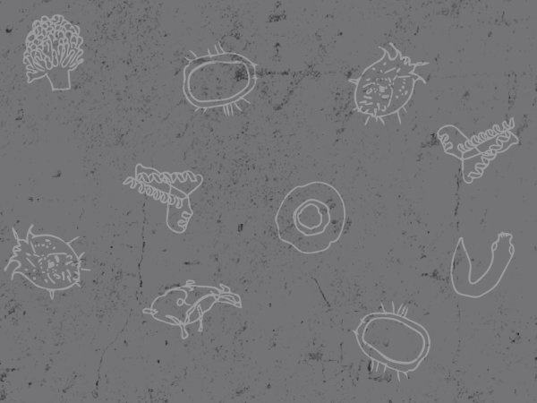 Infectious Disease and Climate Change