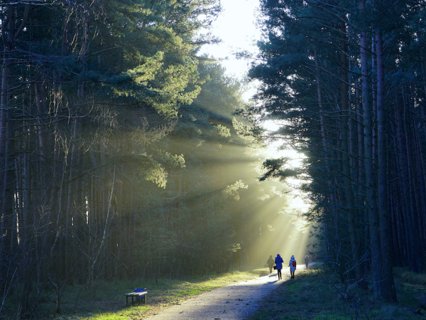 Health Equity in a Changing Climate