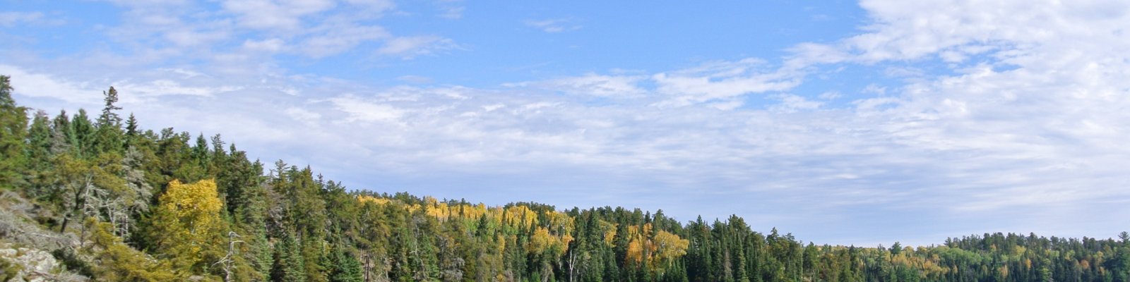 landscape shot of a forest and a wide coastal water body