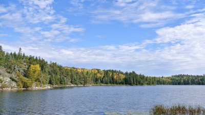 landscape shot of a forest and a wide coastal water body