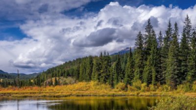 climate risk assessment
